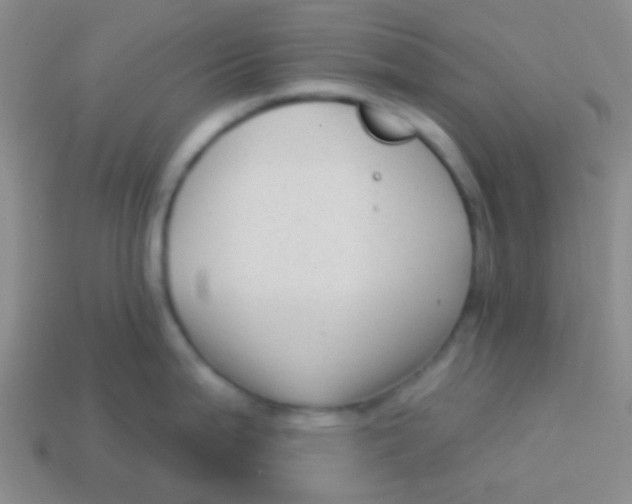 X0000113611199200910161922