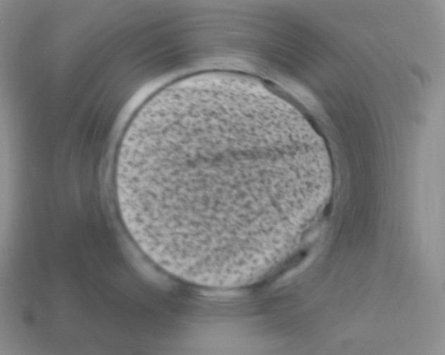 X0000113611200200910161922