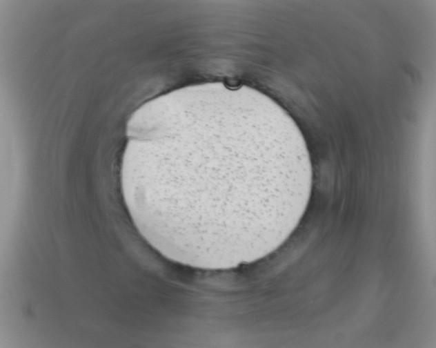 X0000113611201200910161921