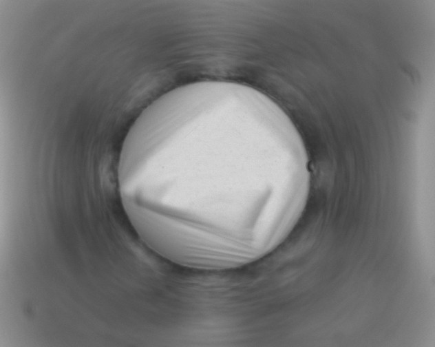 X0000113611202200910161921