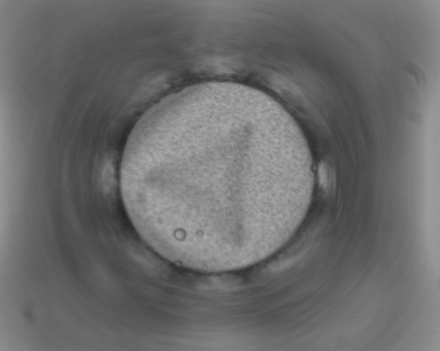 X0000113611203200910161921