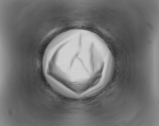 X0000113611206200910161921