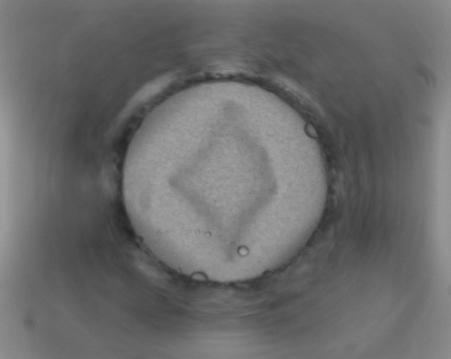 X0000113611207200910161921