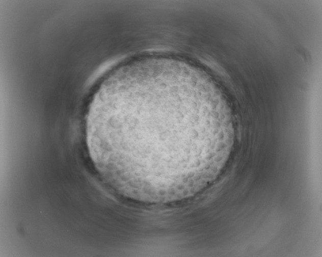 X0000113611208200910161921