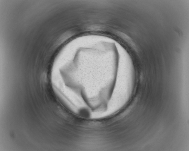 X0000113611209200910161921