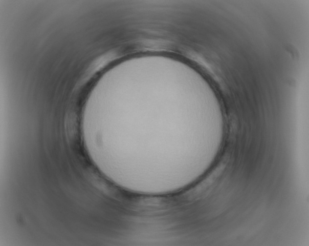 X0000113611211200910161921