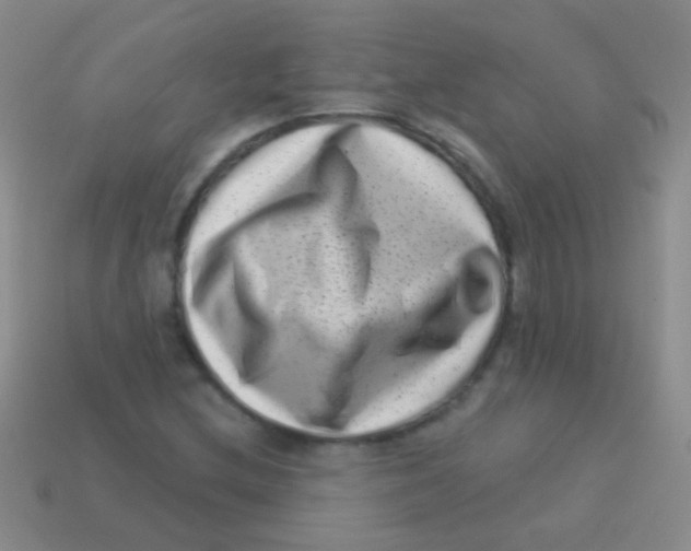 X0000113611212200910161921