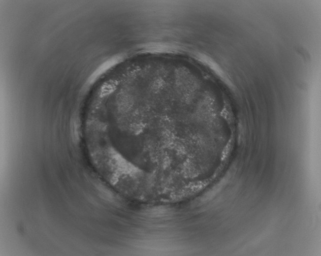 X0000113611213200910161921