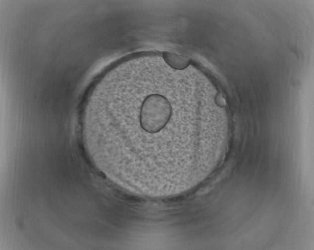 X0000113611215200910161921