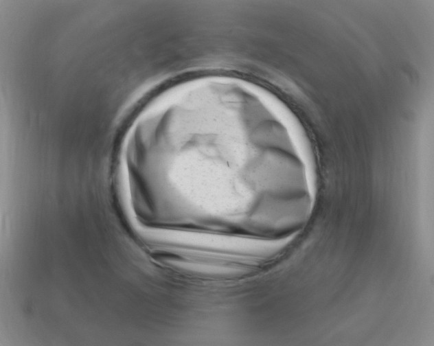 X0000113611216200910161921