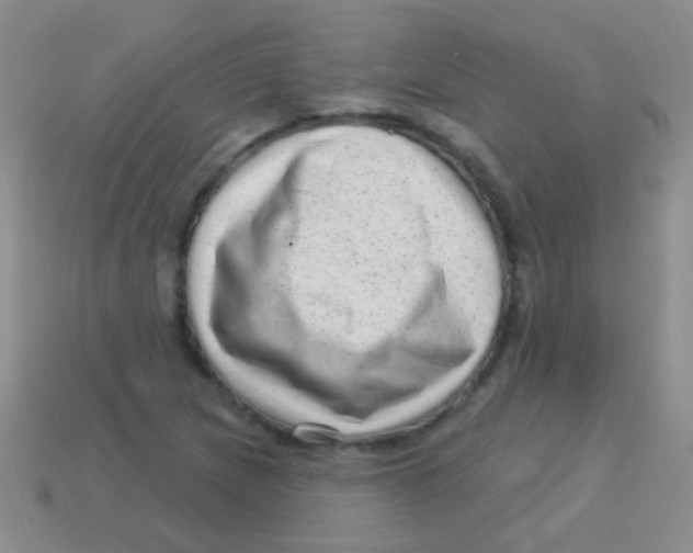 X0000113611217200910161921