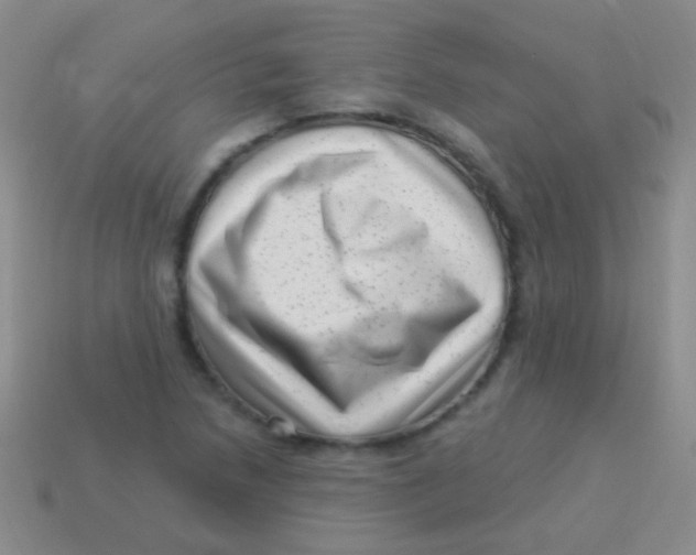 X0000113611218200910161921