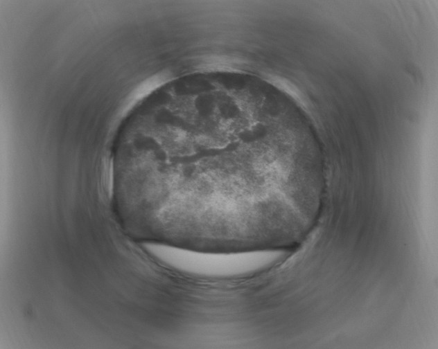 X0000113611219200910161921