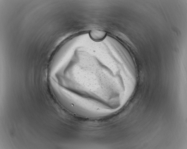 X0000113611220200910161922