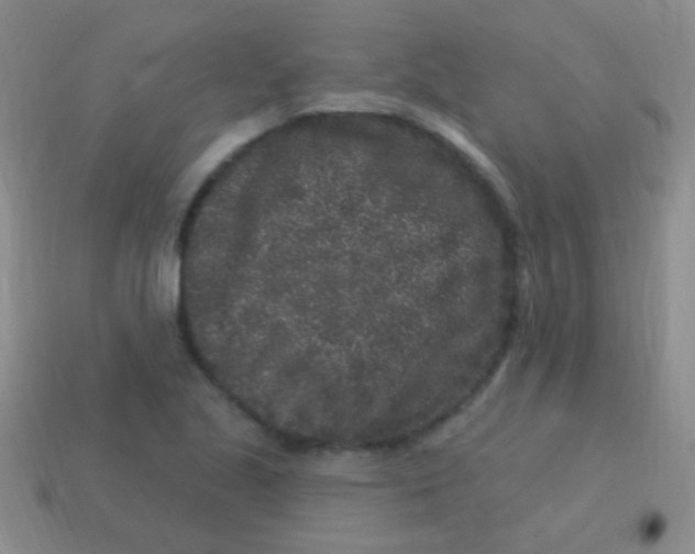 X0000113611221200910161922