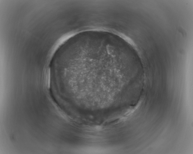 X0000113611223200910161922