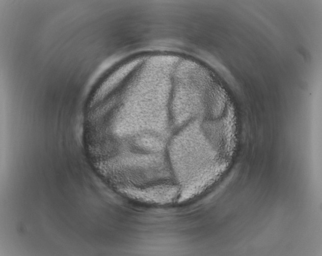 X0000113611224200910161922