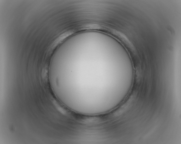 X0000113611225200910161922