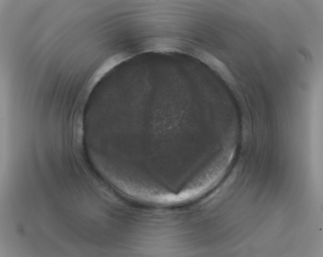 X0000113611226200910161922