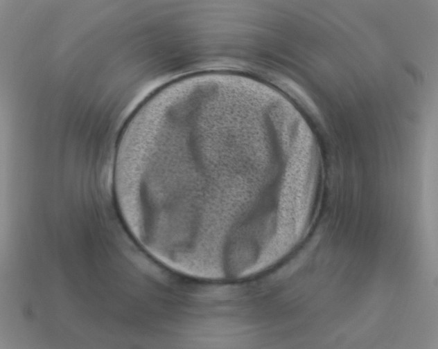 X0000113611228200910161922