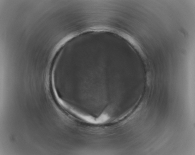 X0000113611229200910161922