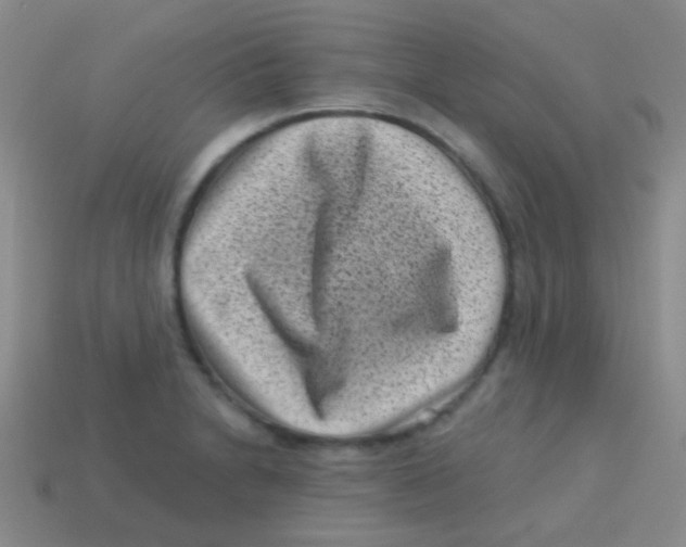 X0000113611230200910161922