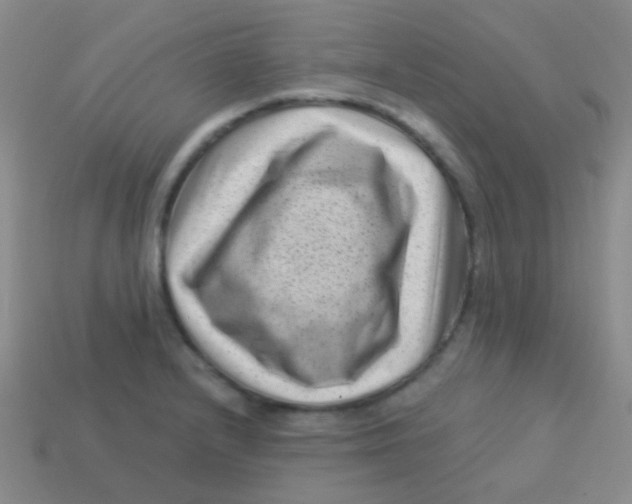 X0000113611232200910161922