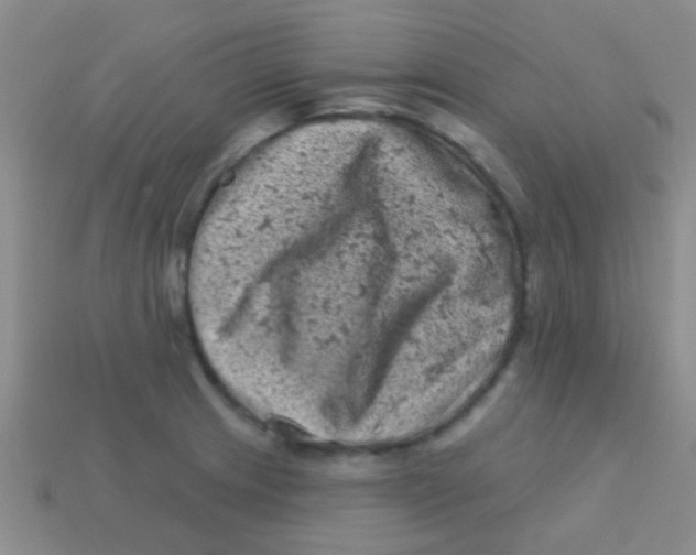 X0000113611233200910161922