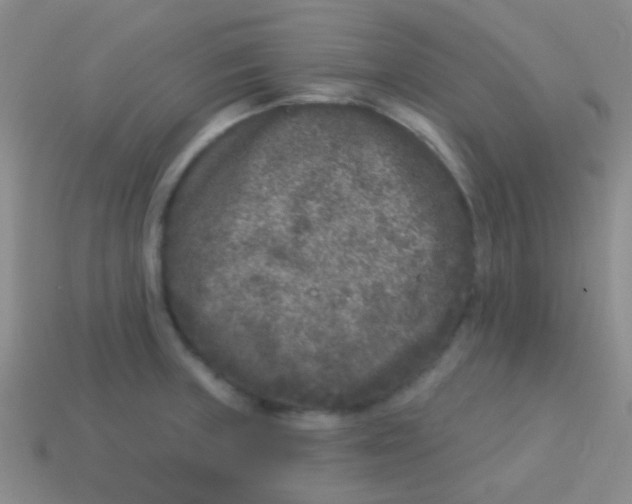 X0000113611235200910161922