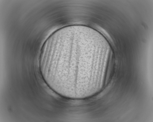 X0000113611236200910161922