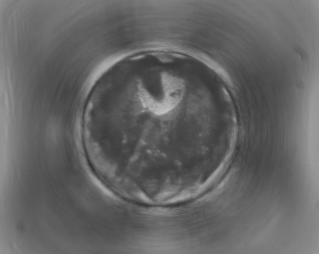 X0000113611239200910161922