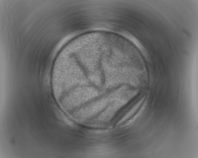 X0000113611240200910161922