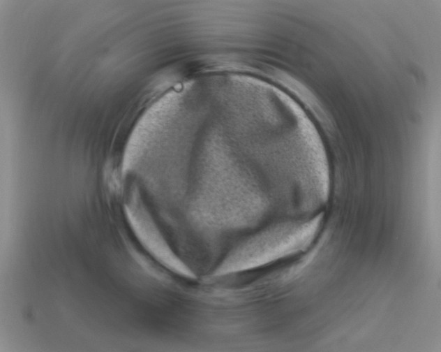 X0000113611241200910161922