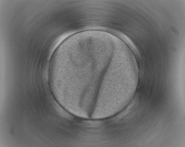 X0000113611244200910161922