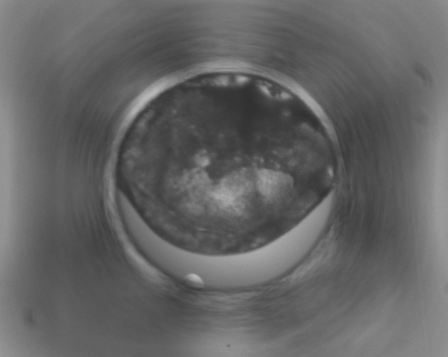 X0000113611245200910161922