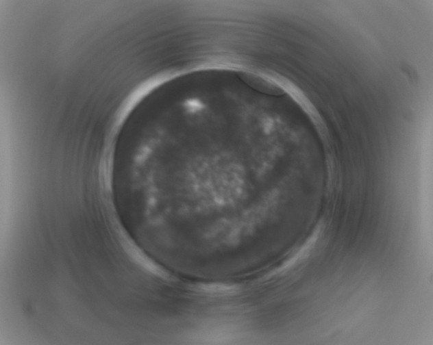 X0000113611246200910161922