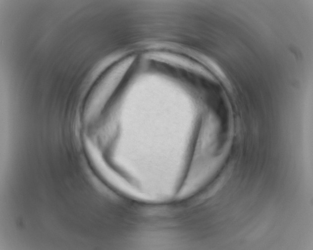 X0000113611247200910161922