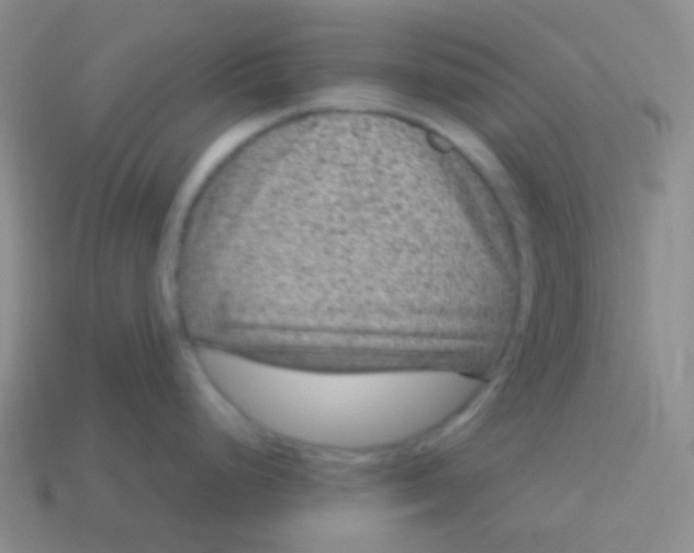 X0000113611248200910161922