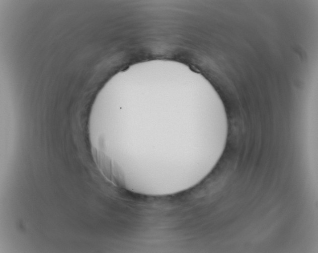 X0000113611249200910161921