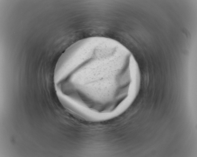 X0000113611250200910161921