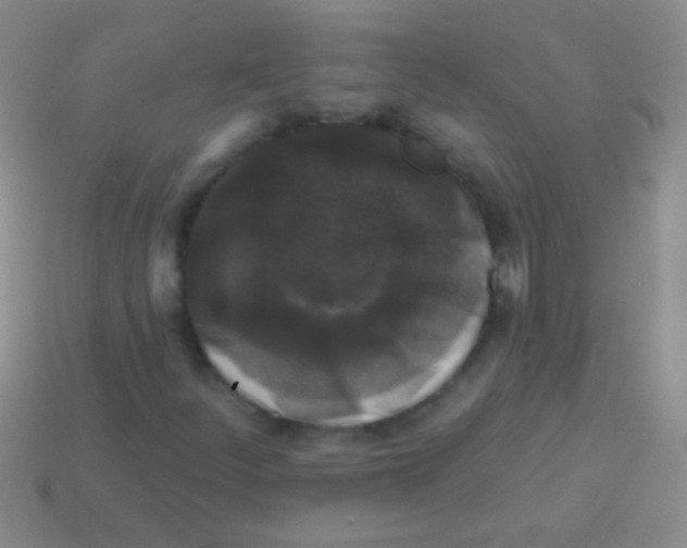 X0000113611252200910161921