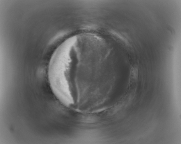 X0000113611254200910161921