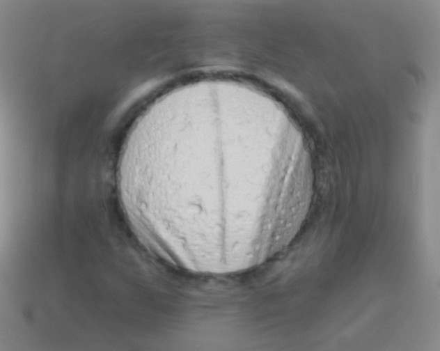 X0000113611255200910161921