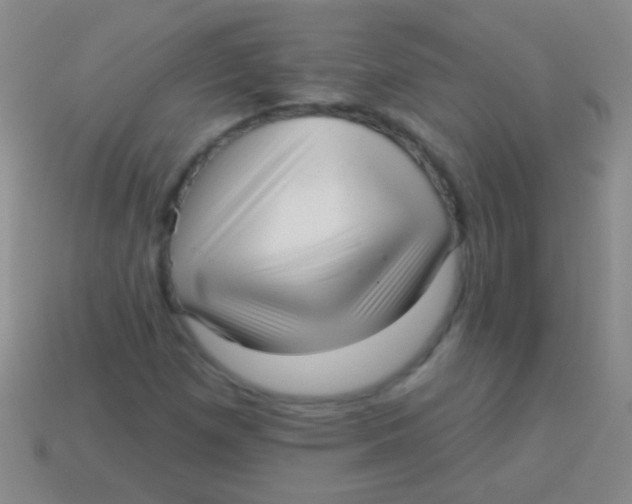 X0000113611257200910161921