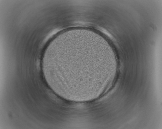 X0000113611259200910161921