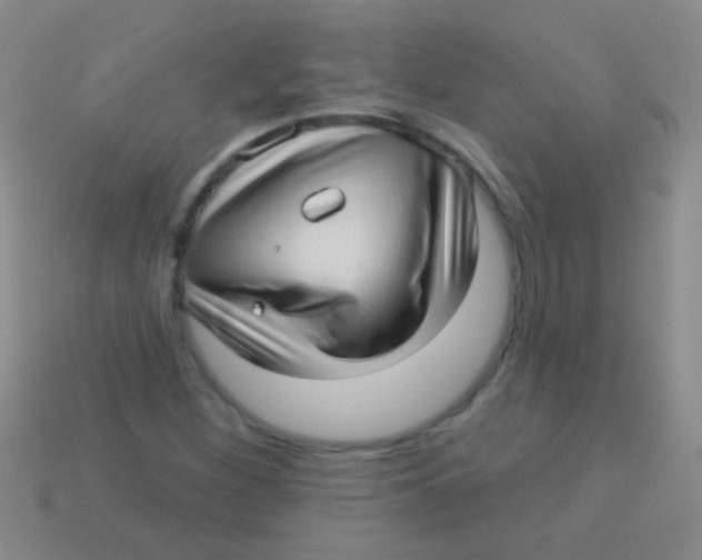 X0000113611260200910161921