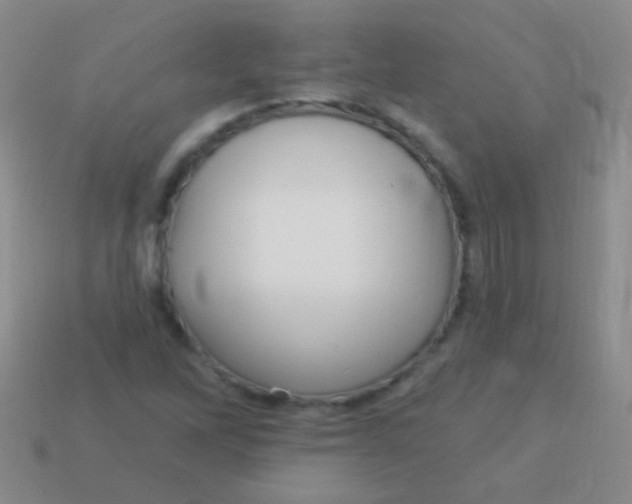 X0000113611262200910161921