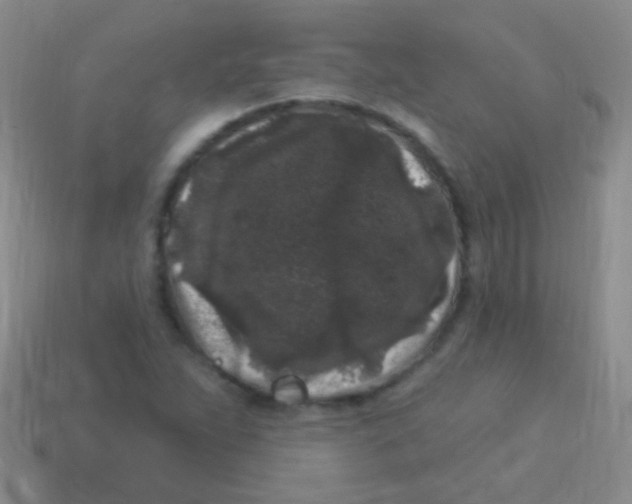 X0000113611263200910161921