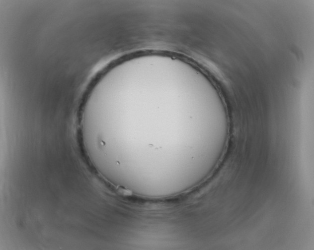 X0000113611264200910161921