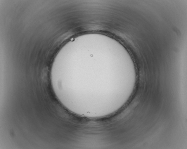 X0000113611265200910161921